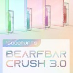 【一次性】正品比熊三代 陶瓷芯 15000口 当天发货