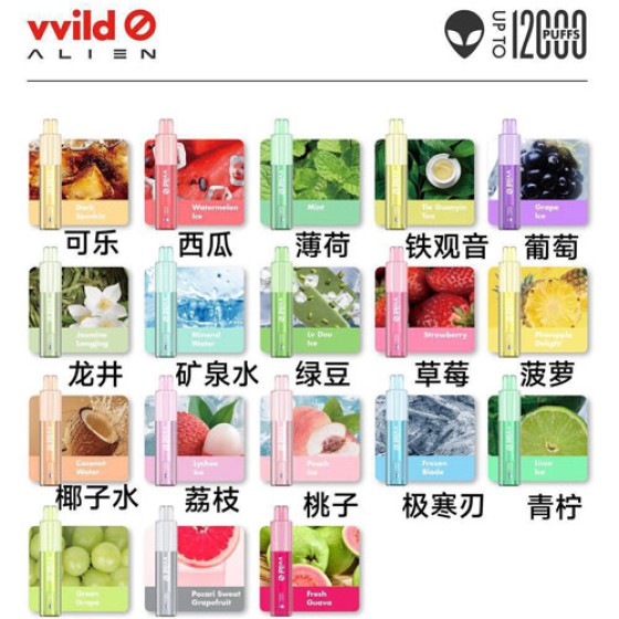 【一次性】正品小野外星人VVILD ALIEN 12000口可视化油仓带电量显示经典潮流