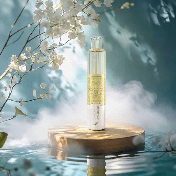 【 Disposable 】 Genuine Bearfbar Solo 15000-pack disposable e-cigarette -16.8W high power output - 24-solar term element design