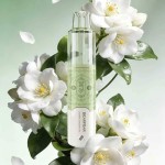 【 Disposable 】 Genuine Bearfbar Solo 15000-pack disposable e-cigarette -16.8W high power output - 24-solar term element design