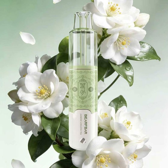 【一次性】正品比熊Bearfbar Solo 15000口一次性电子烟-16.8W大功率输出-24节气元素设计