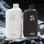 【一次性】正品SONG崧A38冰果系列17000口 16ml 当天发货